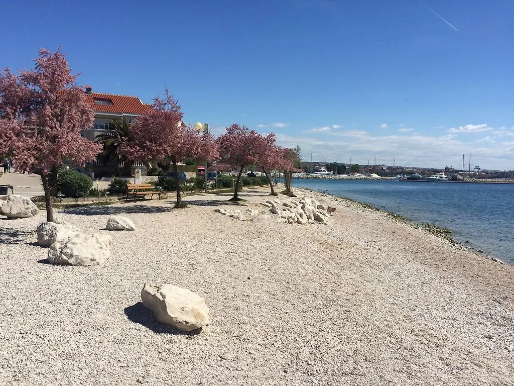 Apartment Valery Zadar 0*,  Croatia